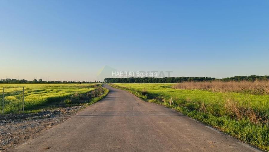 Teren | Poiana Ciolpani | Iris Orangerie - 5