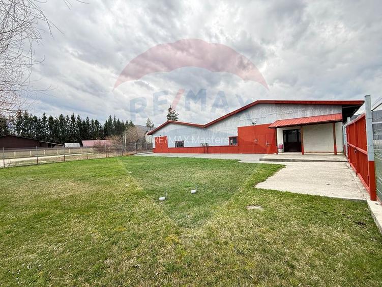 Hală industrială cu birouri si teren Gura Humorului - 23