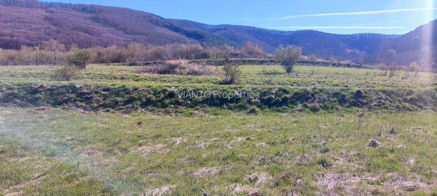 TEREN EXTRAVILAN  1500MP - POPLACA - 4