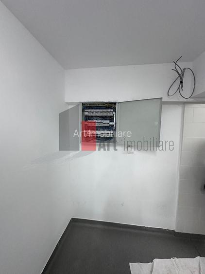 Spatiu comercial (ideal Horeca) de inchiriat in zona Doamna Ghica - 8