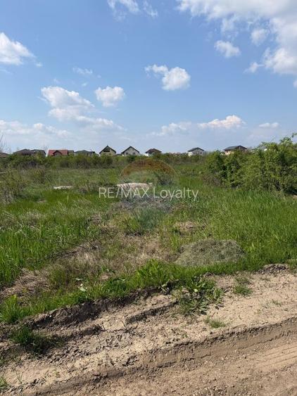 Teren 2,500mp Otopeni / Drumul Viilor - 4