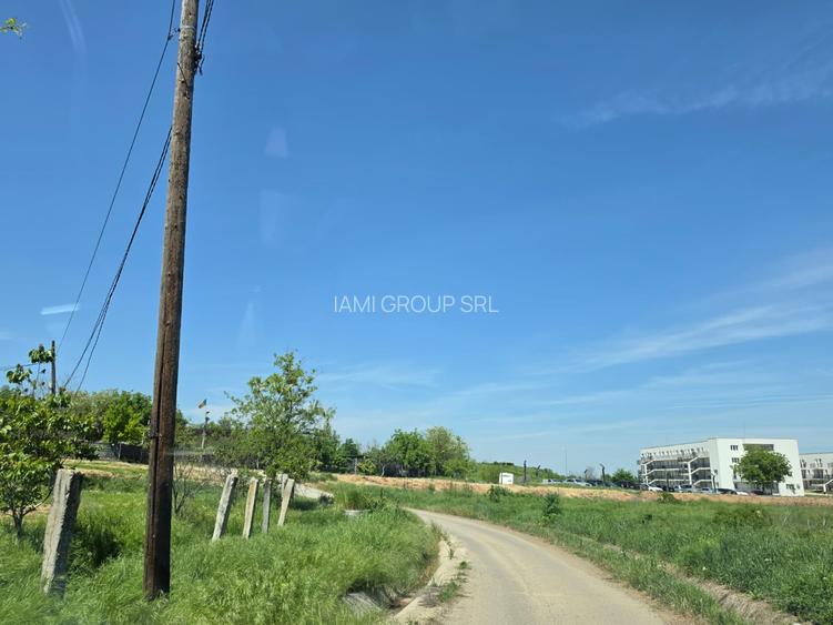 Teren cu livada perfect pentru CASA - 1.200 MP Sat Varlaam, Giurgiu - 7