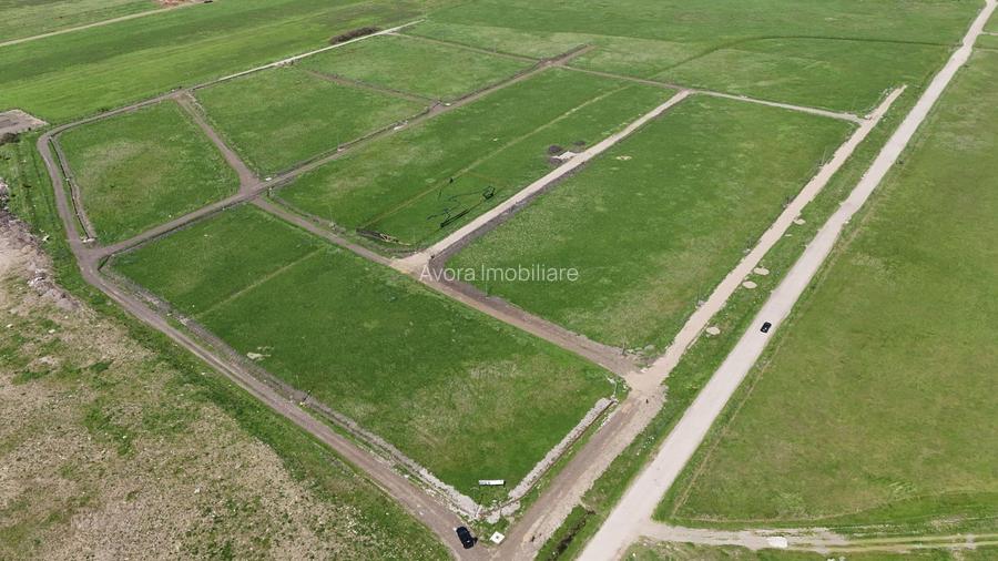 Parcele de teren Sacalaz - 3