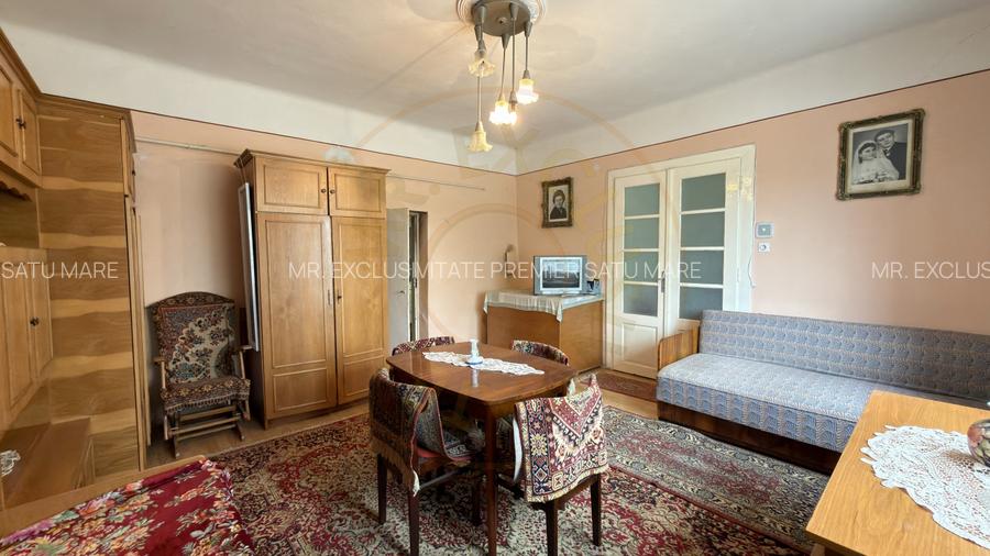 Casă 3 camere, Teren 1053 mp Str. Dorului Nr. 3 - Carei - Comision 0% cumpărător - 17