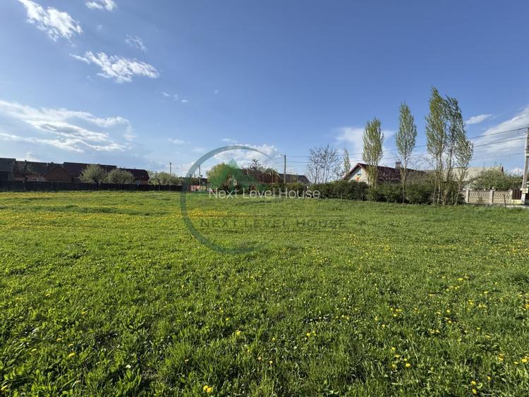 Teren 9500 mp plus Casa plus Anexe Gospodaresti - 3