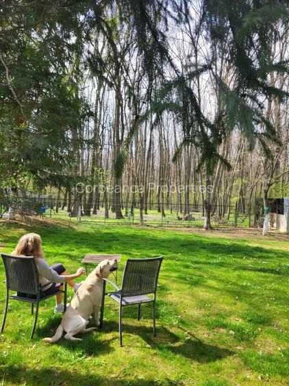 Resedinta cu Padure Privata, Paradisul Verde, teren 1800mp, gradina matura - 2