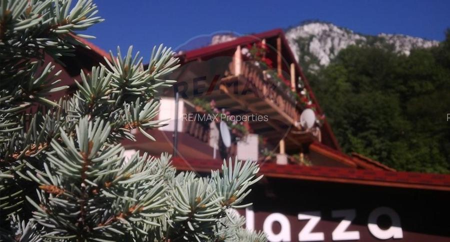 De vanzare / Pensiunea El Plazza Baile Herculane - 4