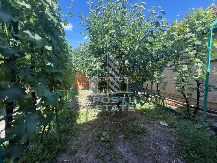 Casa individuala cu teren de vanzare, zona Plopi Timisoara - 17