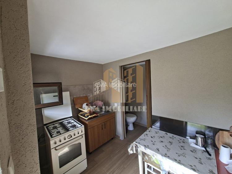 Casa individuala  Ileni Fagaras Brasov - 19