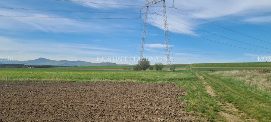 TEREN EXTRAVILAN LANGA FABRICA DE CHERESTEA Holzindustrie Schweighofer - RECI - 7