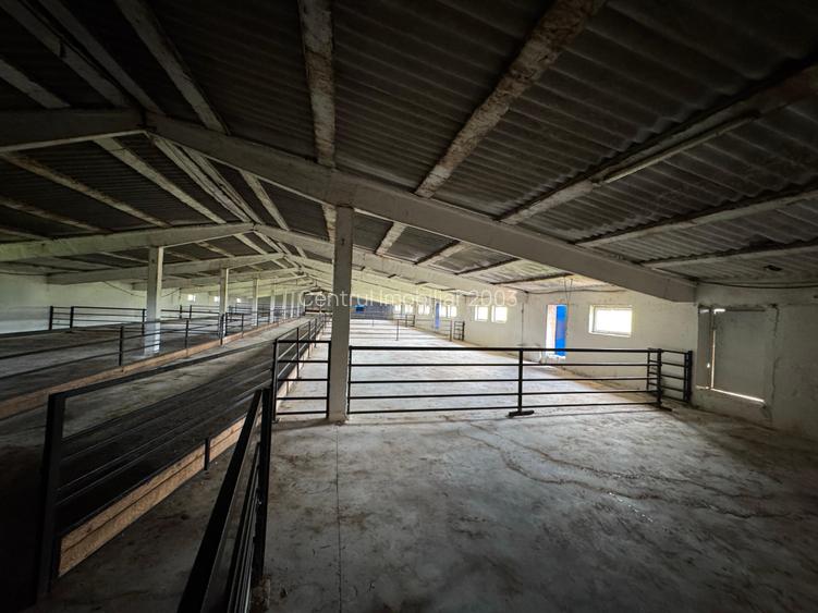 Ferma de vanzare Vitanesti Teleorman - 9