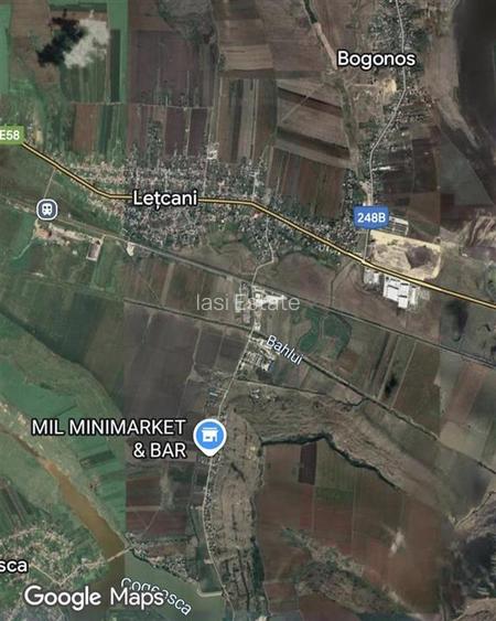 Teren de 27660 mp in Letcani - 2