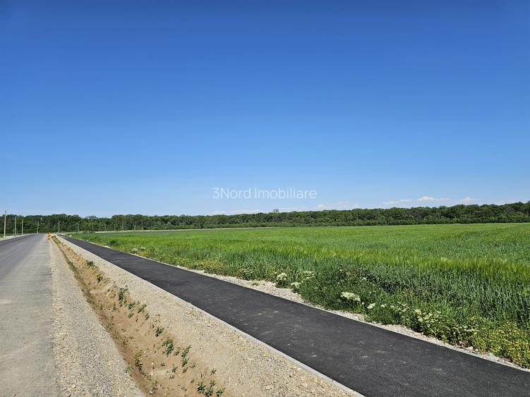 SCROVISTEA, TEREN INTRAVILAN, 3,5 HA – 75 ML FRONT STRADAL + 75 ML LA PĂDURE - 5