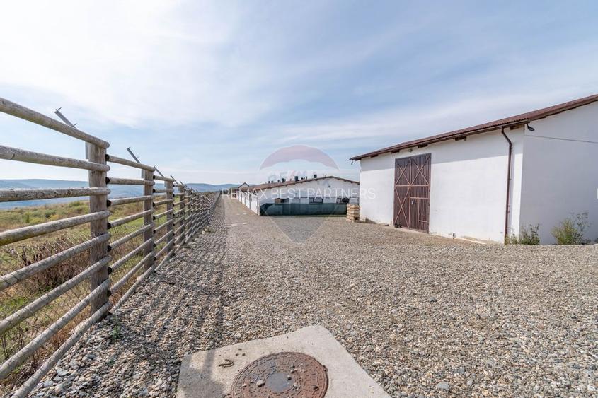 Ferma moderna de porci de vanzare in Curtuiusu Dejului - 18