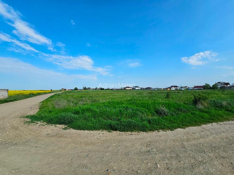 Proprietar,  2 terenuri 490 mp Adunatii Copaceni, strada Troitei  - 8