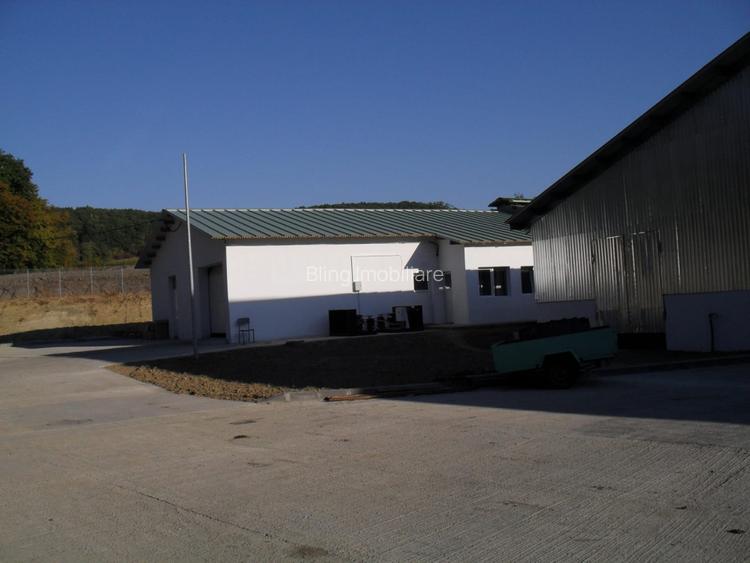 Ferma Zootehnica la standarde Europene - 8