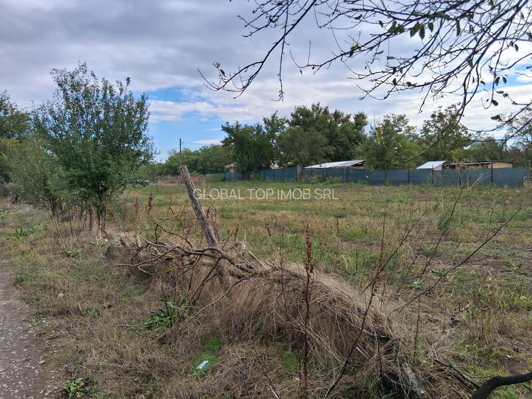 Teren 2262mp lac Dorobantu cu potențial pentru construcții - 3