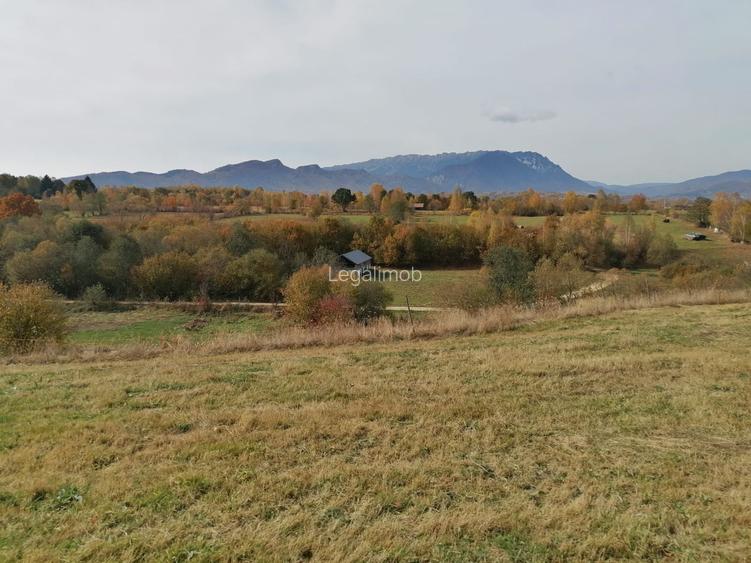 Teren in Sohodol-Bran - 7