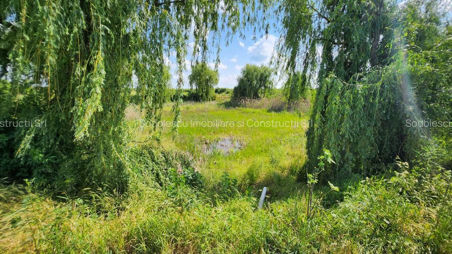 Spatiu industrial productie/ depozitare, Timiș - 27