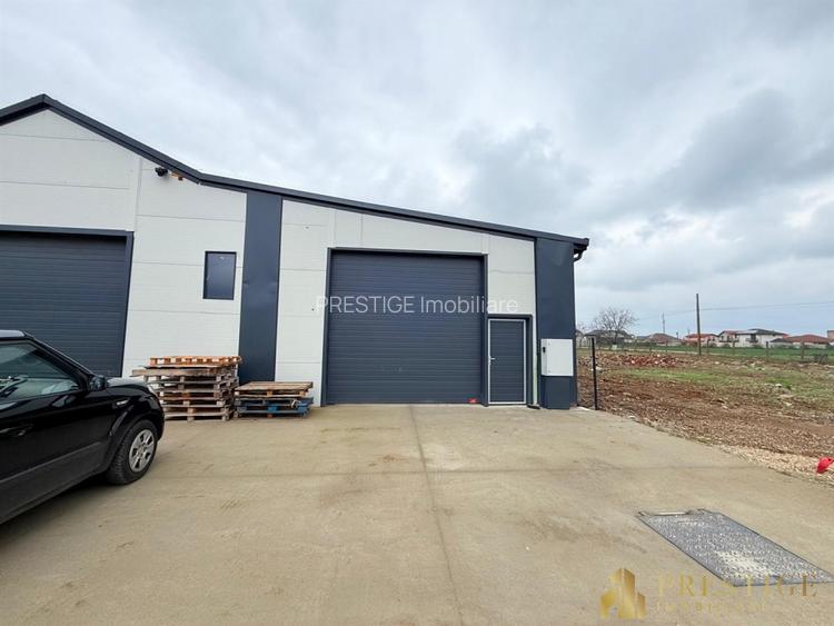 Hala 500 mp de inchiriat in Livada la 5 min de Aeroportul Oradea - 8