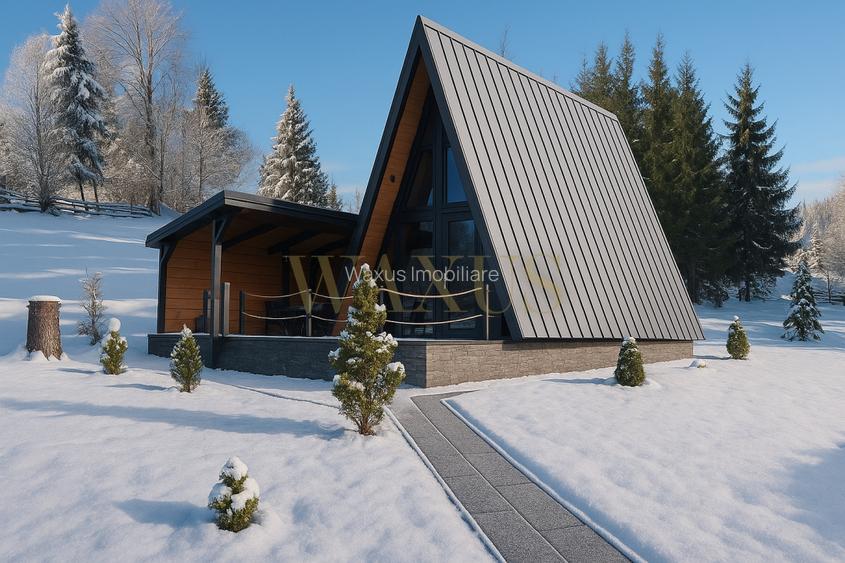 Teren 34,5 ari + cabana A-frame Colibita – ideal pentru resort, spa sau pensiune - 3