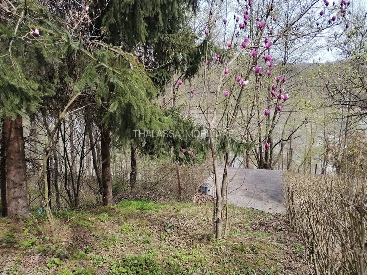 Proprietate de vacanta Valea Oltului - BREZOI - 21