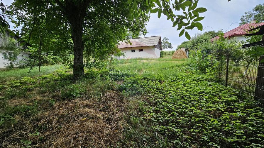 Casa  de vânzare cu teren 9200 mp, Pădureni-Șendriceni, Botoșani - 20