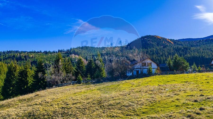 COMISION 0% Teren 13,800mp Fundatica / Intravilan - 4