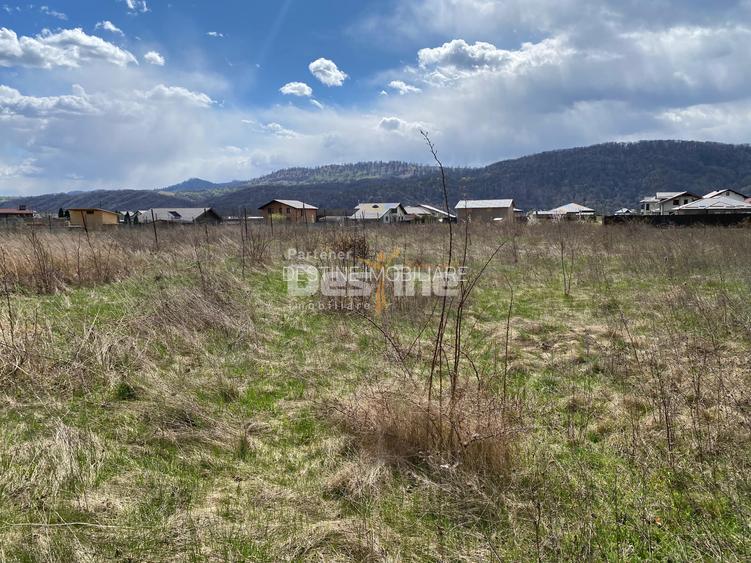 Teren de vanzare Dumbrava Rosie 20.000 Euro 900mp - 13