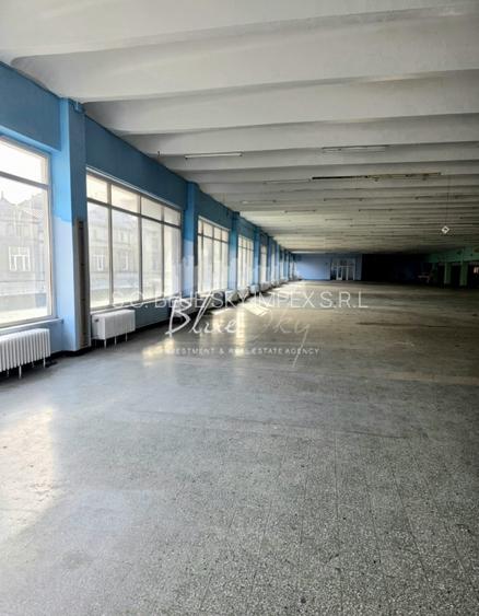 Spatiu Generos cu Terasa Circulabila in Centru - 14