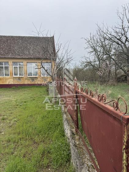 Casă unifamilială în Remetea Mare  cu teren de 3383 mp. - 10