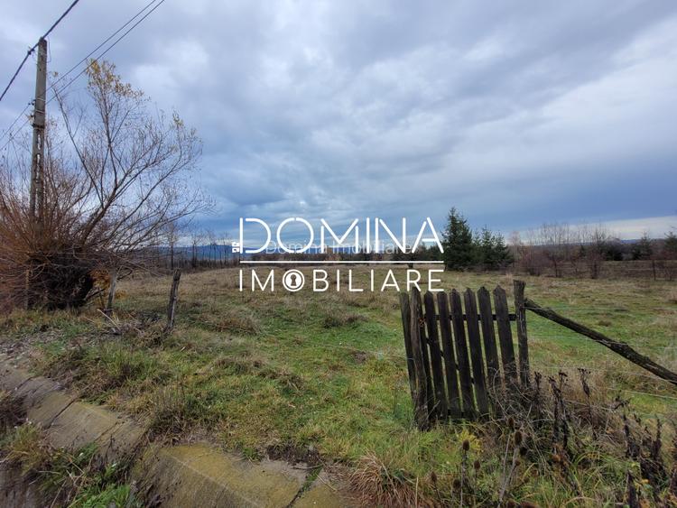 Vanzare teren 5000 mp, in comuna Crasna - sat Aninisul din Deal - 2