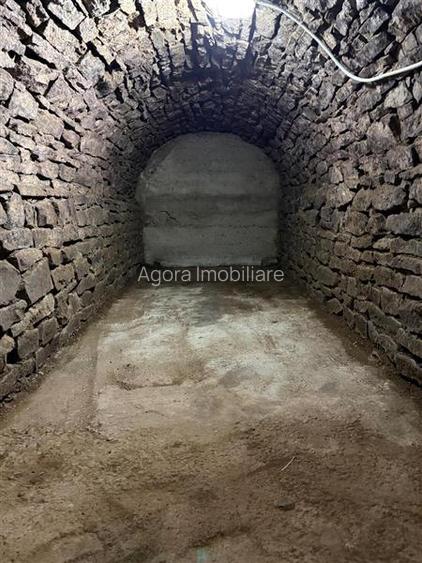 Construcție cu două camere și beci - Burdujeni - 13