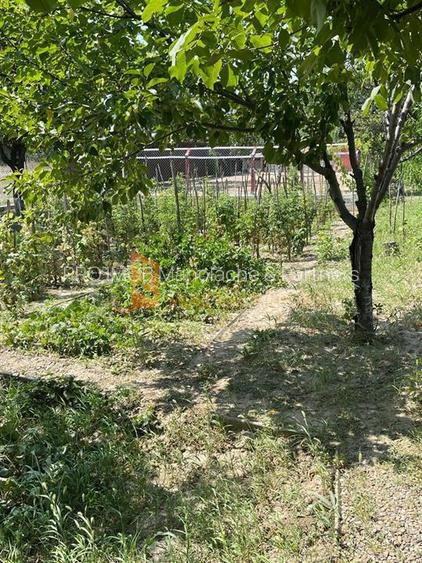 Casa WOW EXLCUSIVITATE  tip P+M - 19