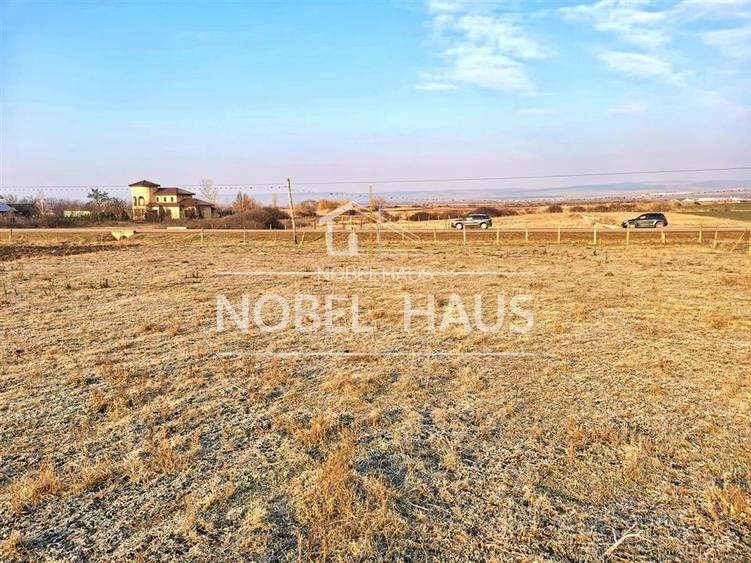 Teren intravilan 1041 mp, Grivita, pentru constructii - 3