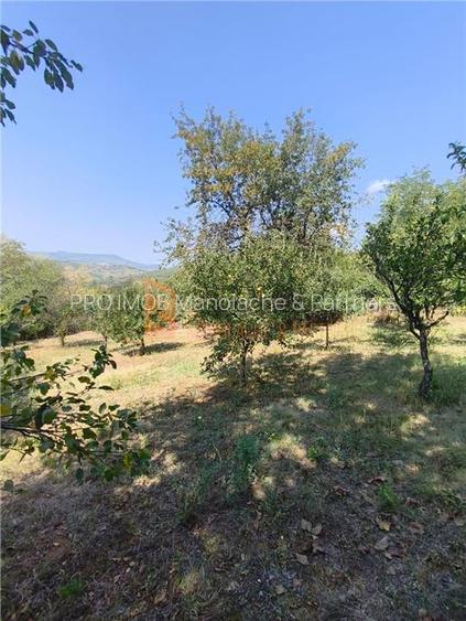 Casa tip parter zona Lunca Frumoasa, Parscov - 25