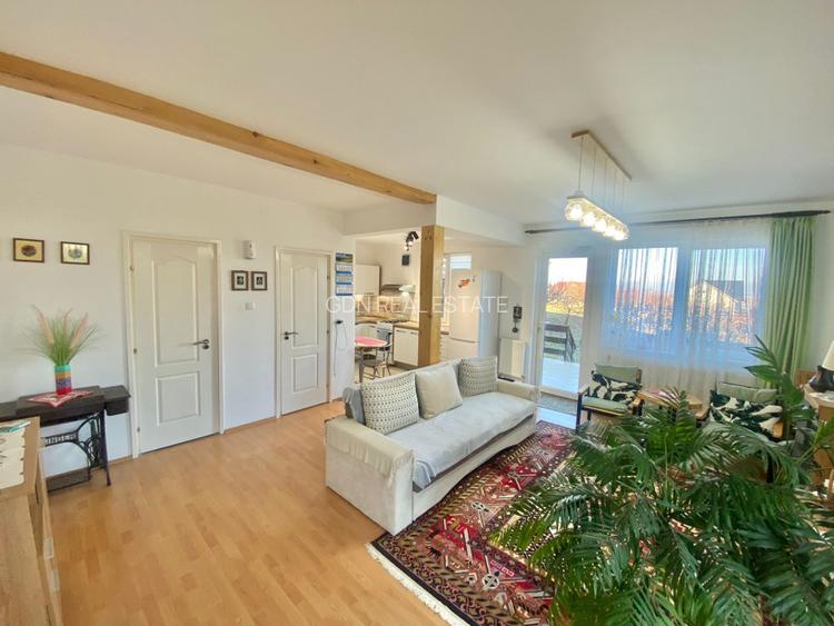 2 Case in regim P+M cu 9 camere, 3 băi, teren 1811mp, front 30m, Paleu - 5