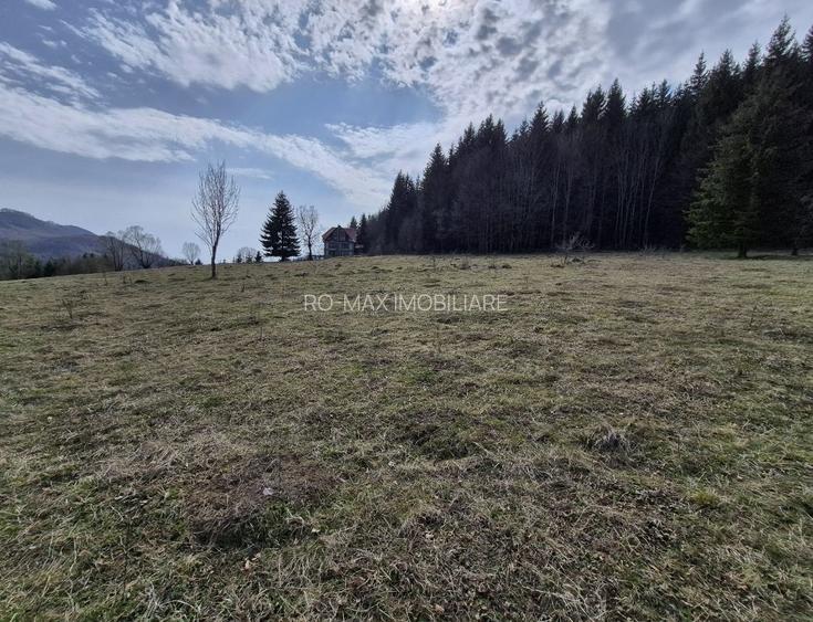 Teren intravilan la baza pădurii Valea Doftanei sat Traisteni (poduri) - 7