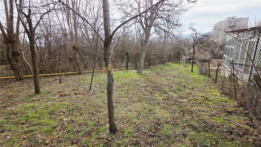 CASA 4 CAMERE 110 MP TEREN  1723 MP   DONATH GRIGORESCU - 28