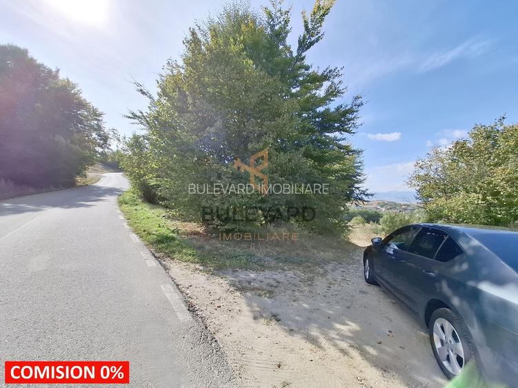 Comision 0. Teren cu autorizatie de construire in Salicea - 2