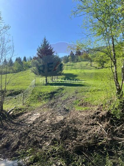 Teren 12,127mp Frasin / Drumul Forestier Valea Seaca - 12