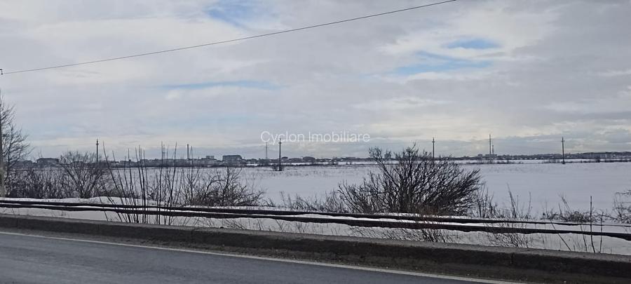 Vanzare teren intravilan 7500 mp/23ml Centura Magurele Ilfov - 6