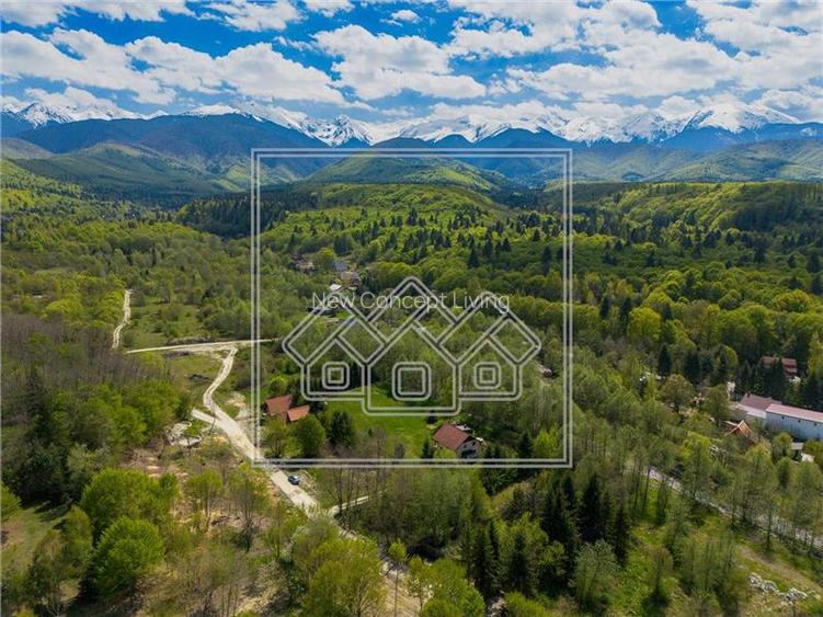 Casa de vacanta de vanza - oportunitate de investitie - zona turistica - 10