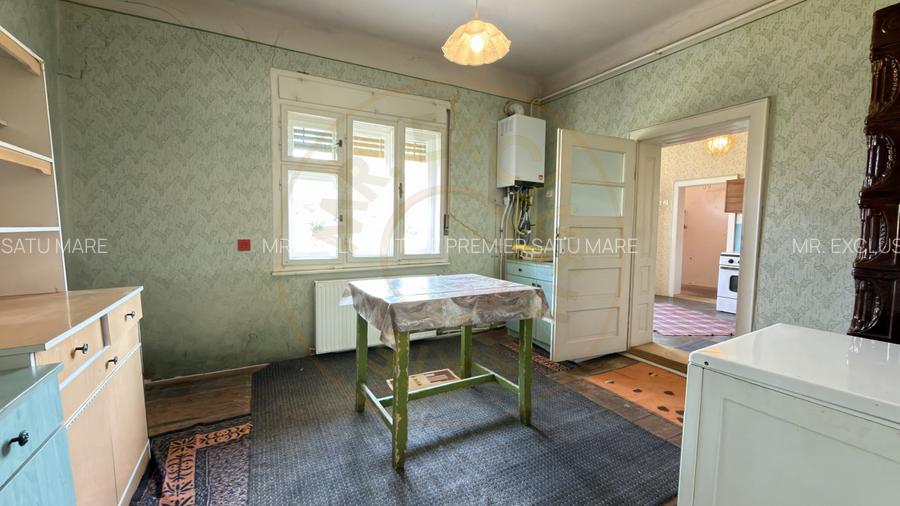 Casă 4 camere, Teren 1955 mp Str. Vezendiului Nr. 366 - Loc. Petrești, Satu Mare - 18