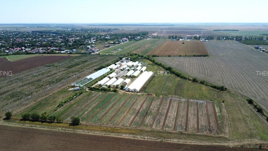 Ferma Legume Petrachioaia Teren 7.2 HA - 2