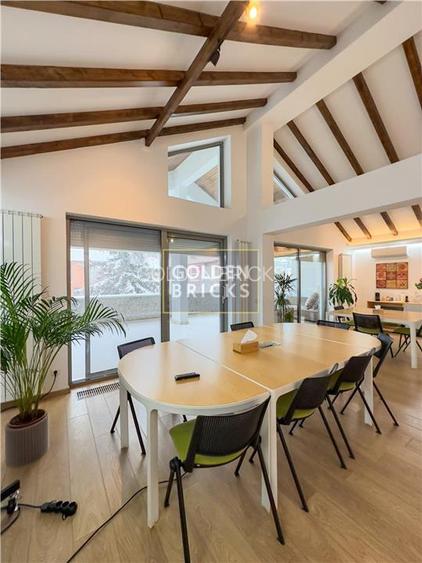 Aviatiei | N. Caramfil | Vila individuala | 8 Camere | Parcare - 22