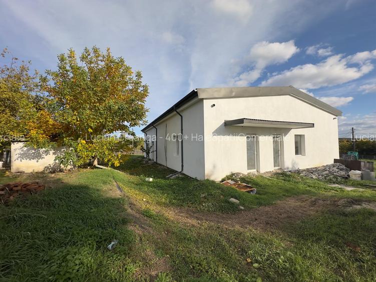 Spatiu magazin, productie, 202mp, Sipote - 9