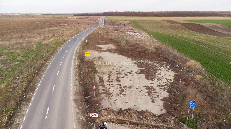 Teren intravilan la asfalt si statie autobuz Ilfov Cernica Posta - 14