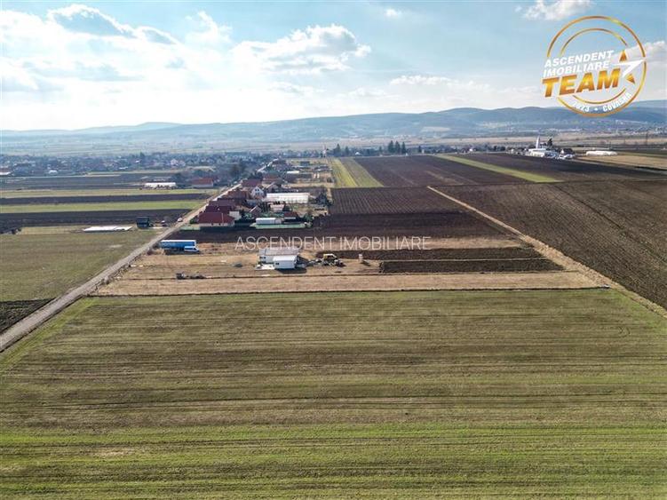 Liniste si aer curat in proximitatea Municipiului Sfantu Gheorghe - 9