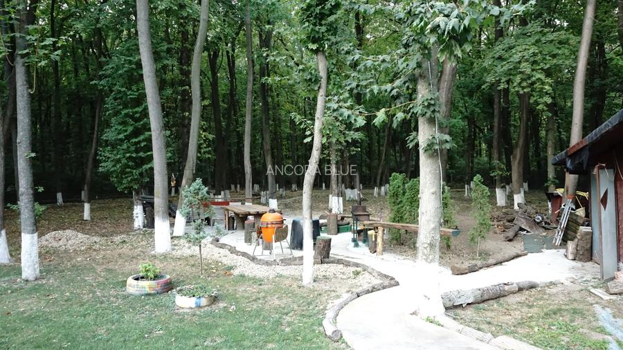 Vila superba in Padurea Baneasa, curte 5000 mp, piscina exterioara - 38